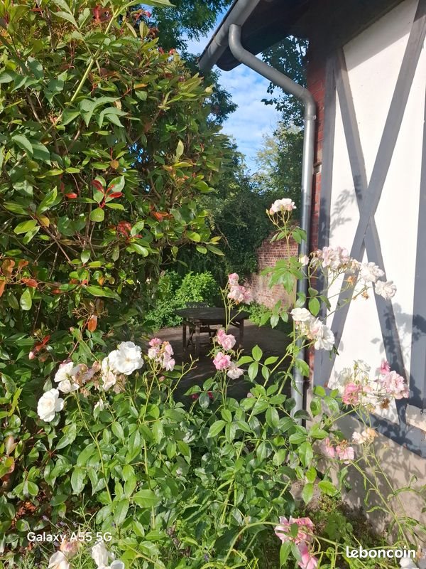 Appartement à louer, 25m², Roubaix