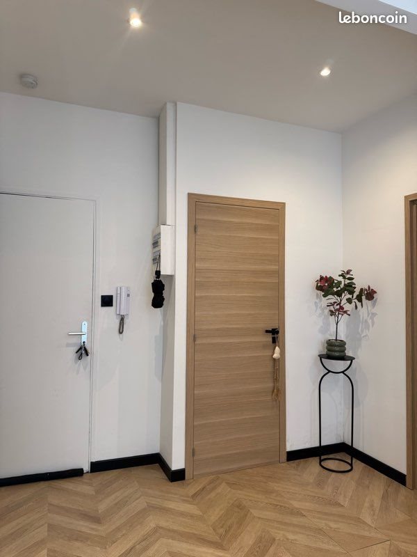 Appartement à louer, 55m², Saint-Étienne
