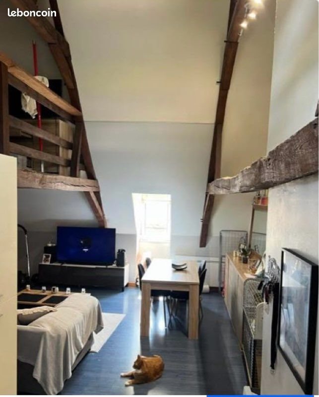 Appartement à louer, 38m², Saint-Amand-les-Eaux