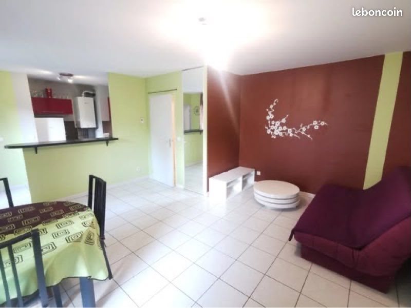 Appartement à louer, 48m², Lyon 7ème