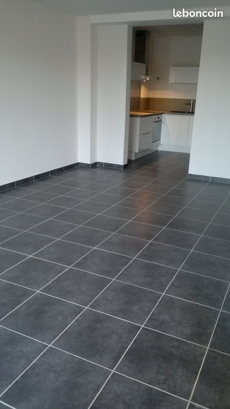 Appartement à louer, 49m², Divonne-les-Bains