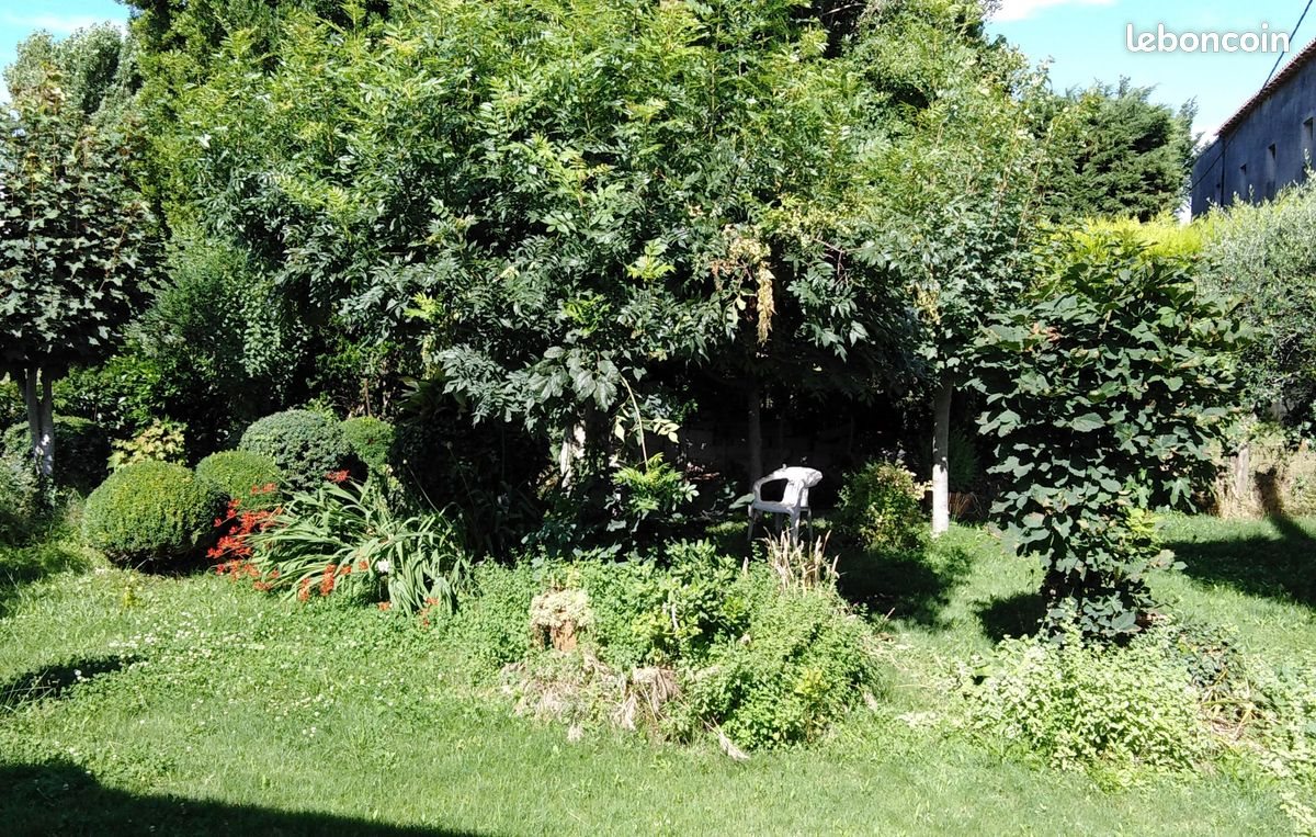 Maison à louer, 69m², Roquemaure