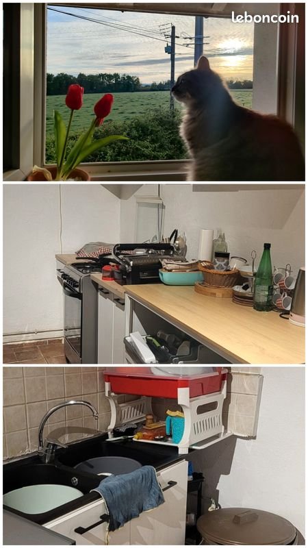 Maison à louer, 80m², Perreux