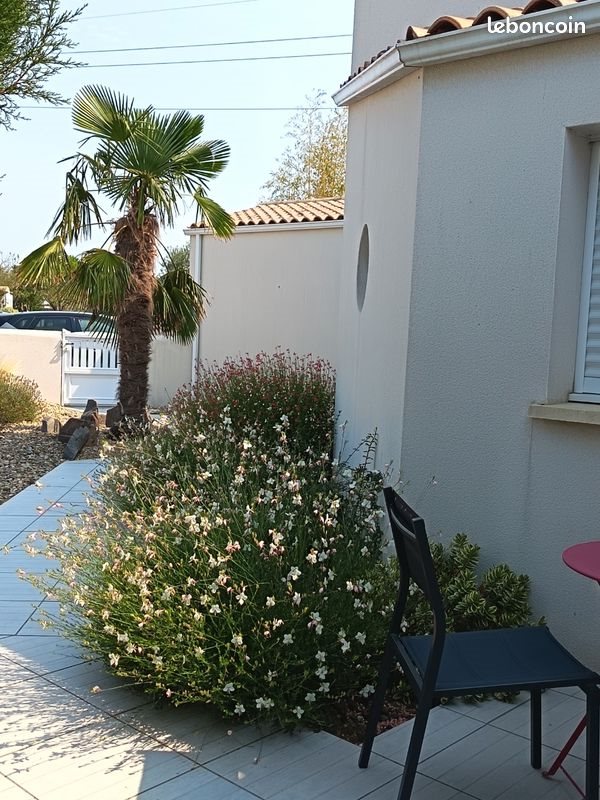 Appartement à louer, 21m², Puilboreau