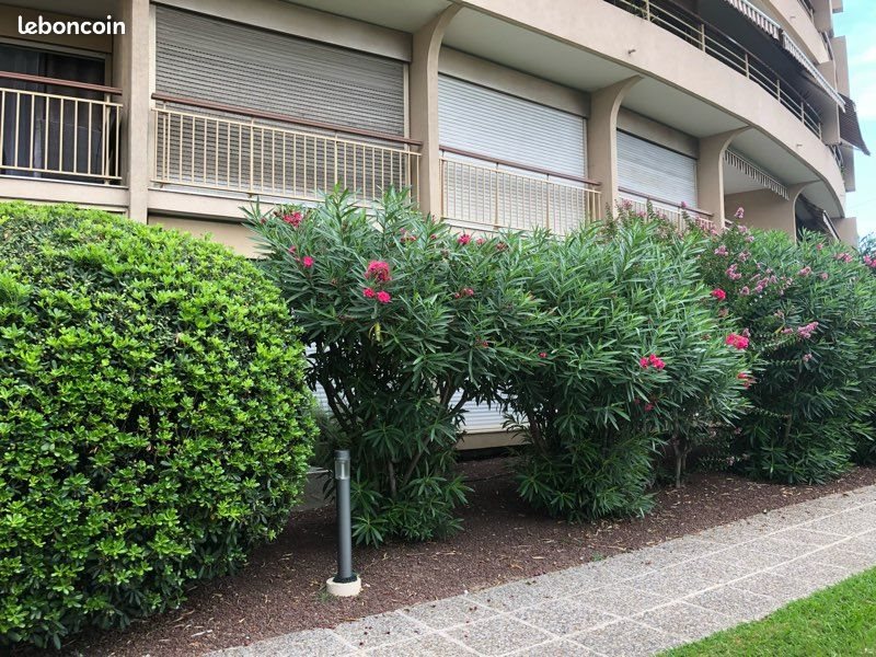 Appartement à louer, 16m², Cannes