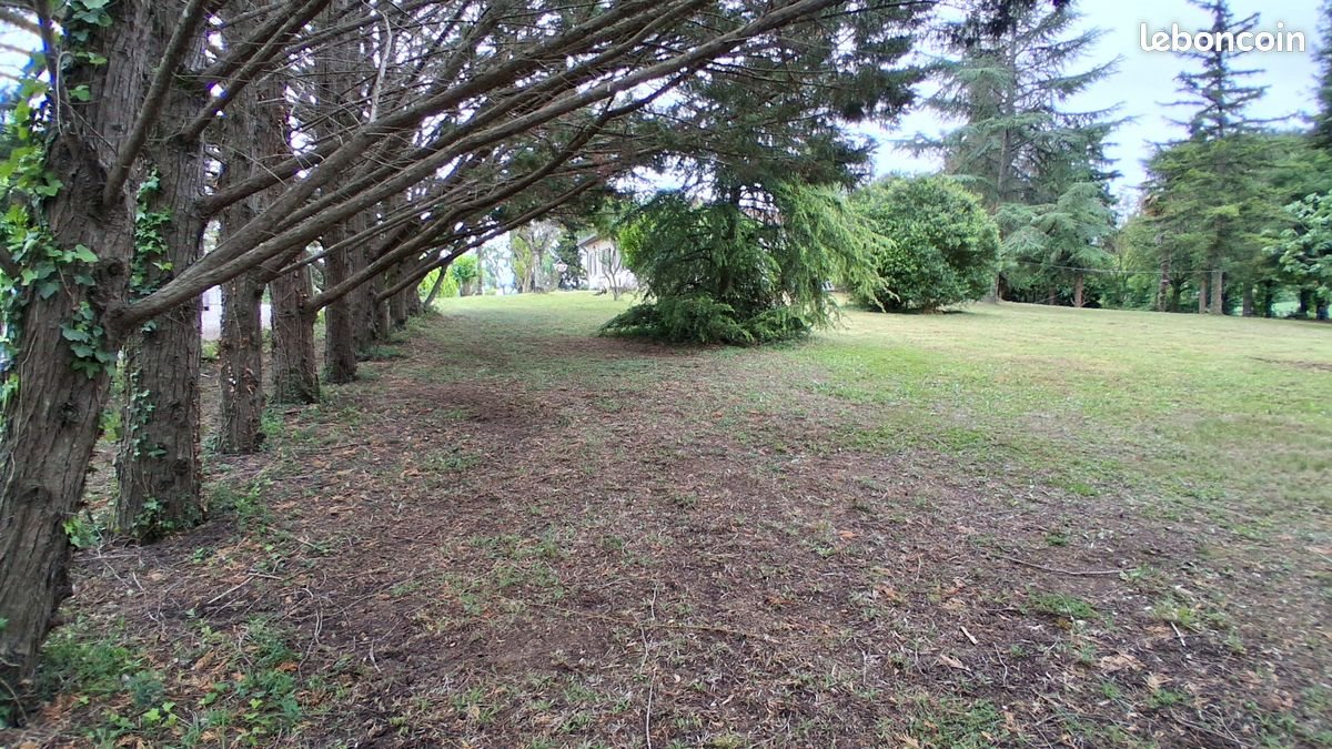 Maison à louer, 110m², Gimont