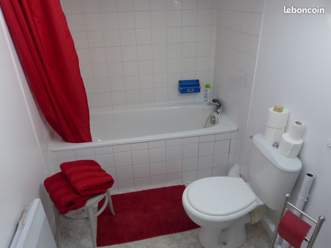 Appartement à louer, 19m², Clisson