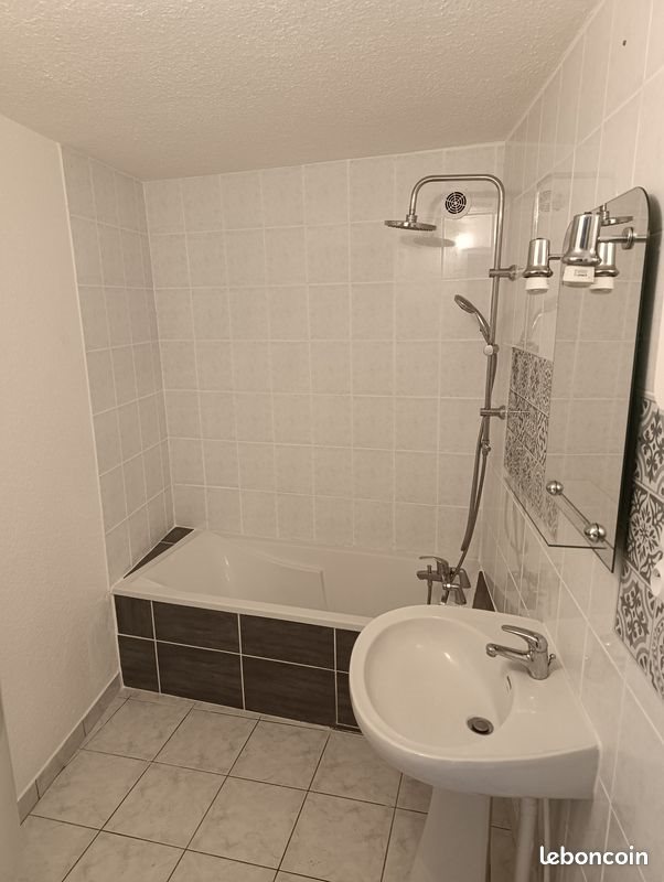 Appartement à louer, 53m², Saint-Martin-Lestra