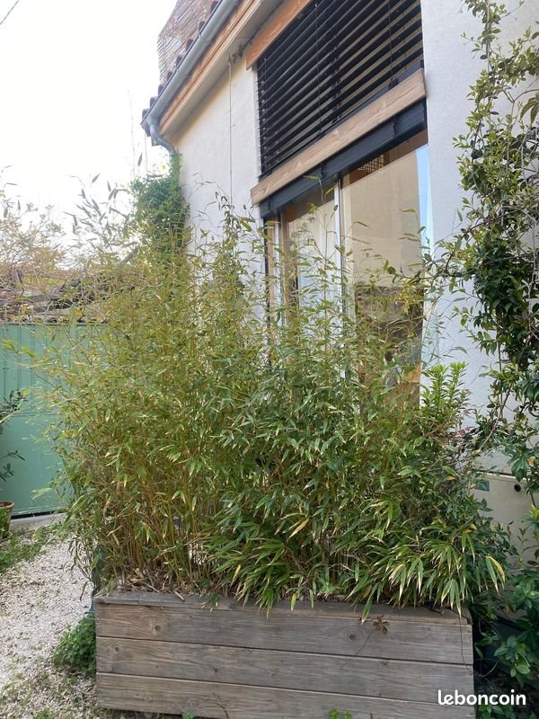 Maison à louer, 23m², La Ciotat