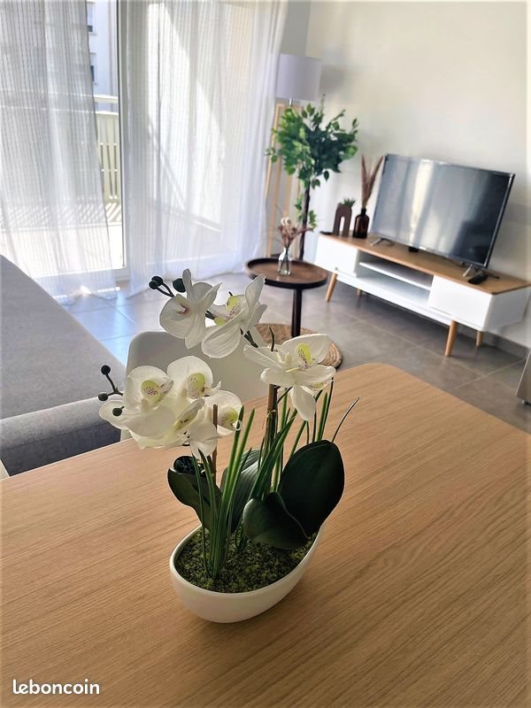 Appartement à louer, 45m², Vaulx-en-Velin