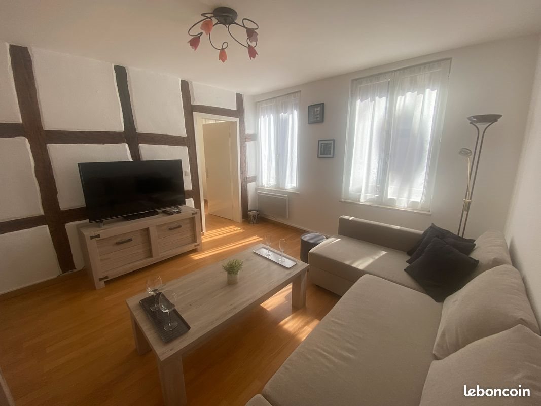 Appartement à louer, 50m², Colmar