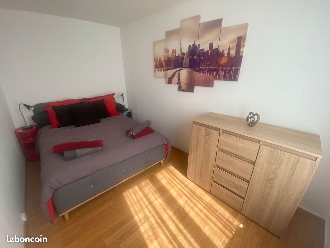 Appartement à louer, 50m², Colmar