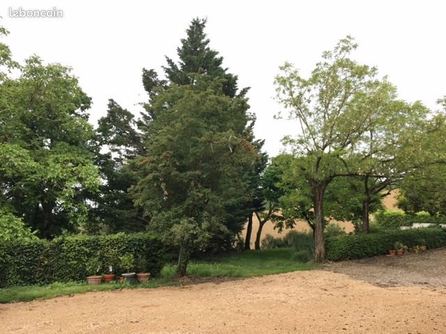 Appartement à louer, 44m², Cadalen