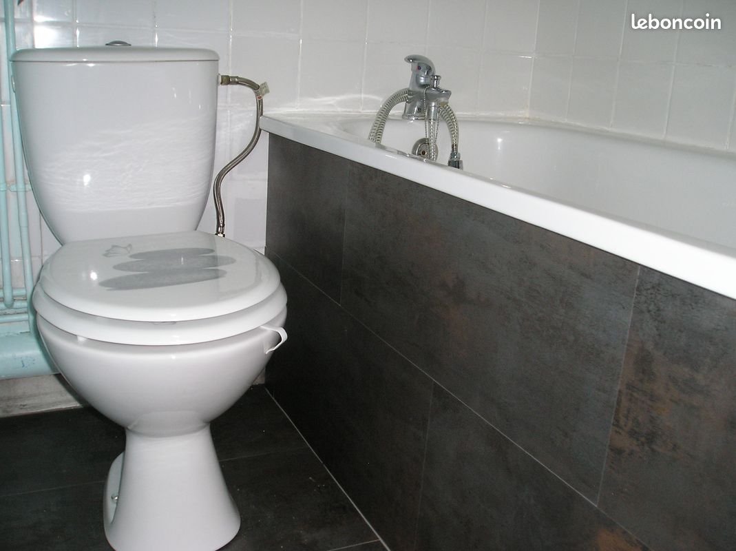 Appartement à louer, 50m², Saint-Amand-les-Eaux