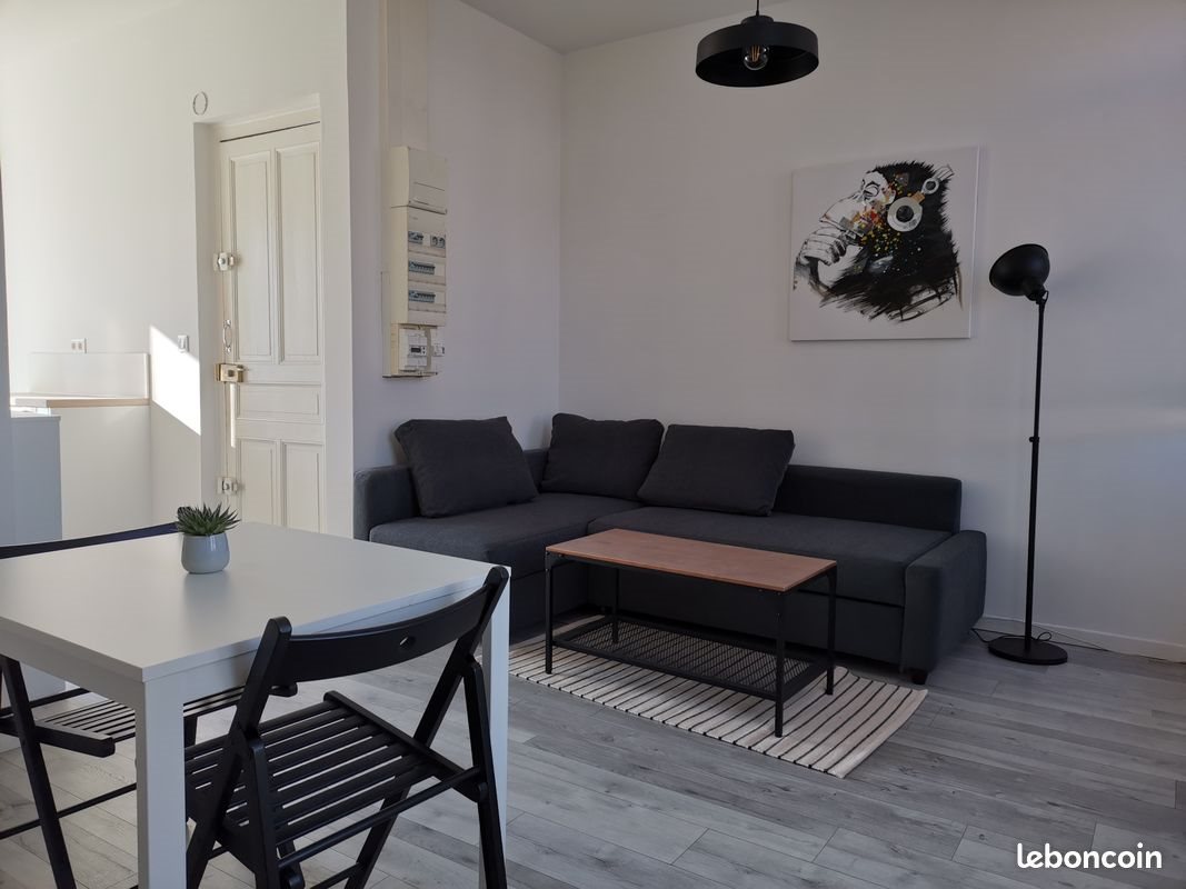 Appartement à louer, 32m², Villeurbanne