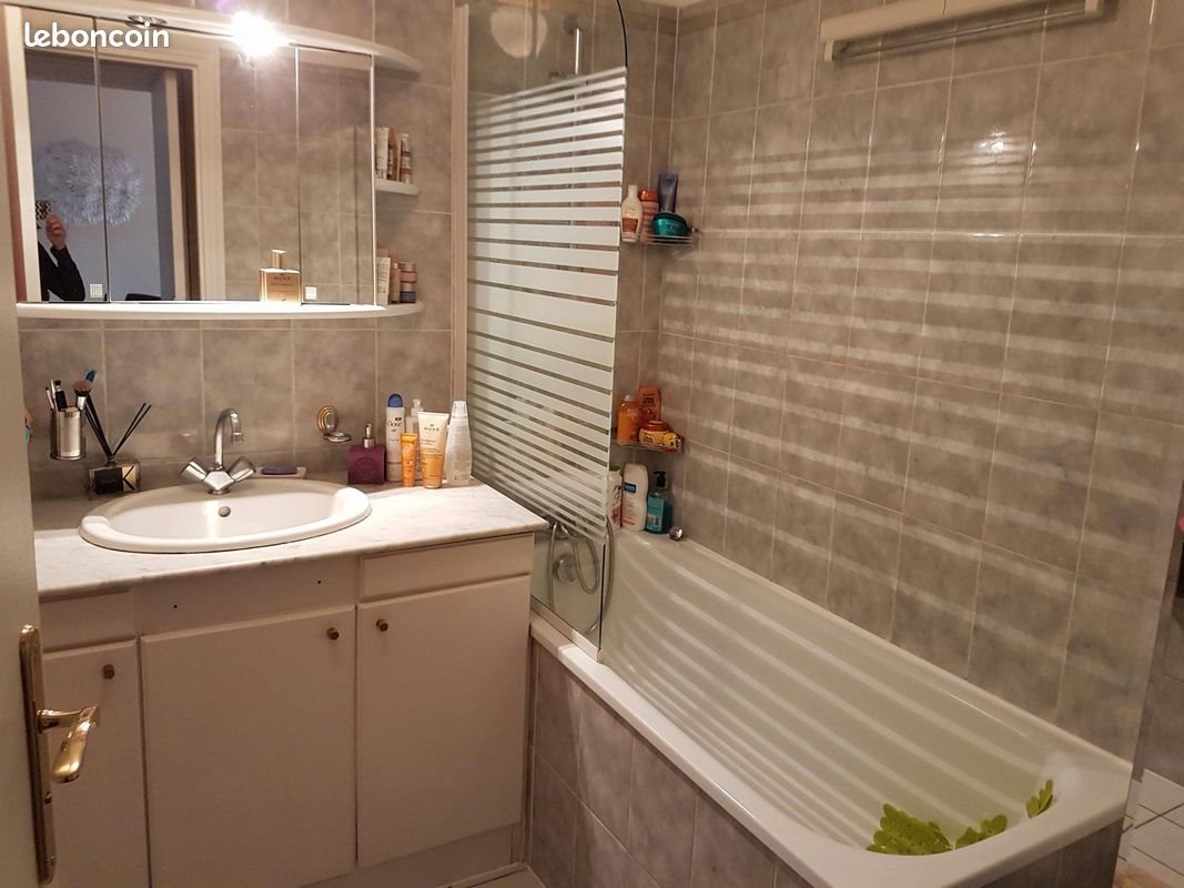 Appartement à louer, 50m², Antony