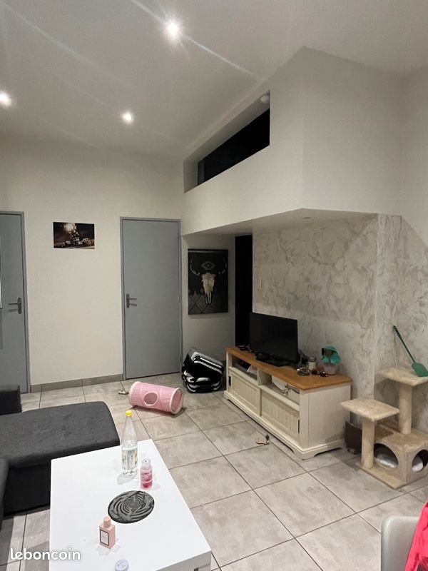 Appartement à louer, 40m², Saint-Romain-le-Puy