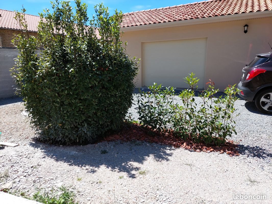 Maison à louer, 77m², Saint-Gence