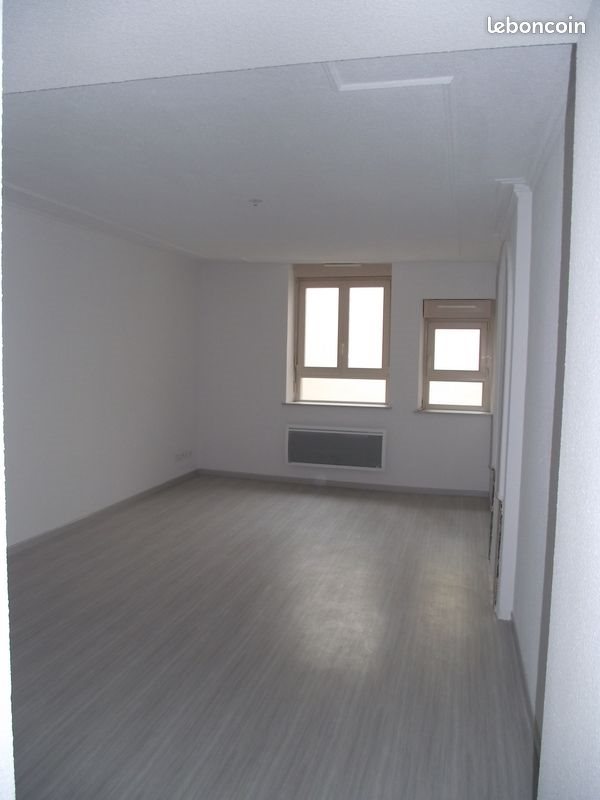 Appartement à louer, 37m², Nancy