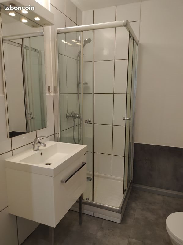 Appartement à louer, 48m², Haguenau
