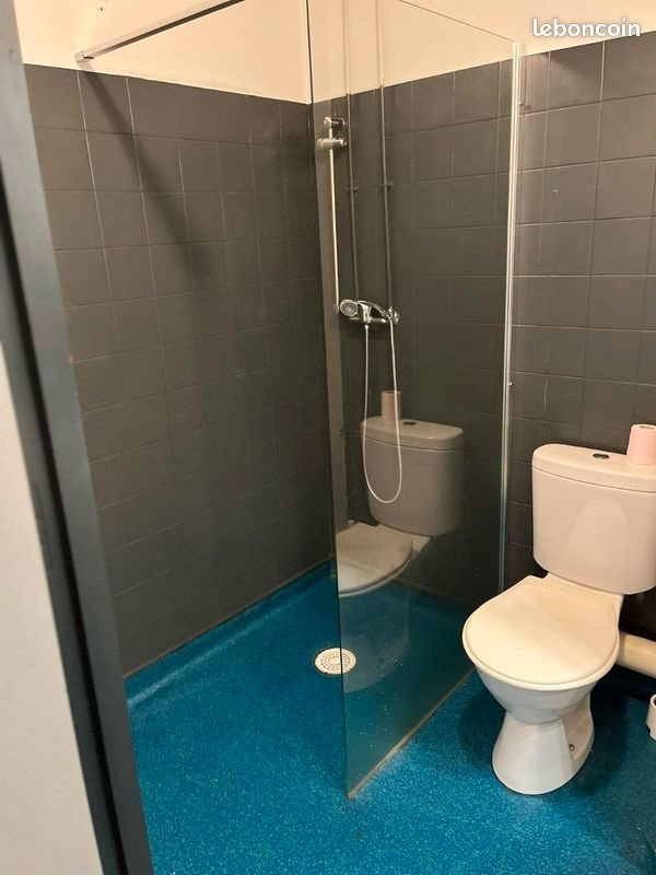 Appartement à louer, 20m², Annonay