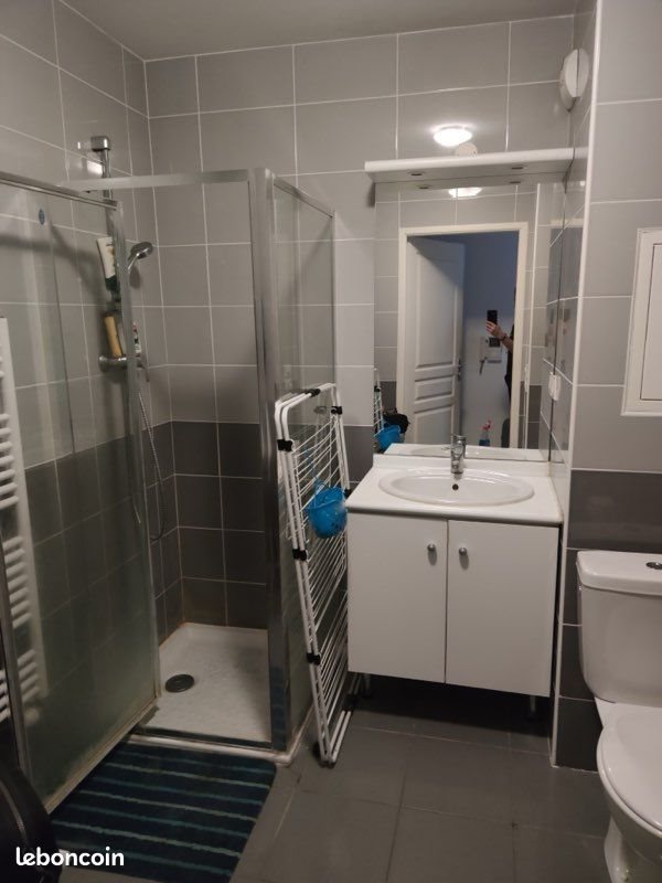 Appartement à louer, 21m², Meyzieu