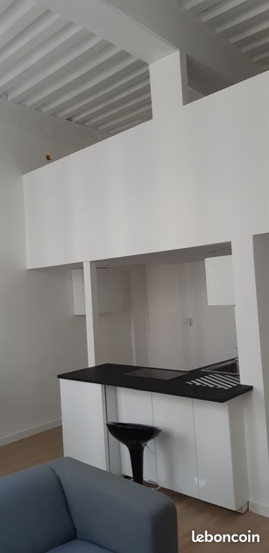 Appartement à louer, 25m², Lyon 4ème