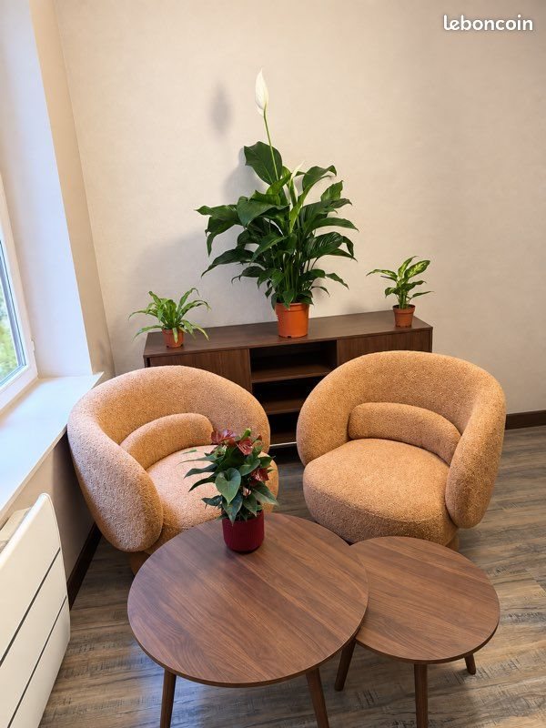Appartement à louer, 25m², Metz