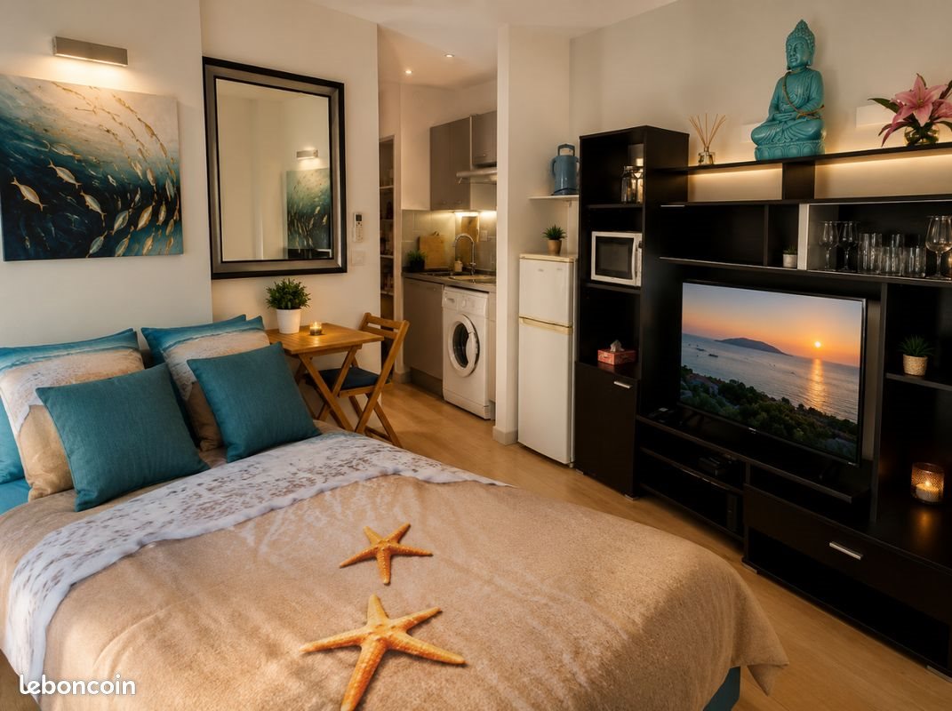 Appartement à louer, 18m², Villeneuve-Loubet