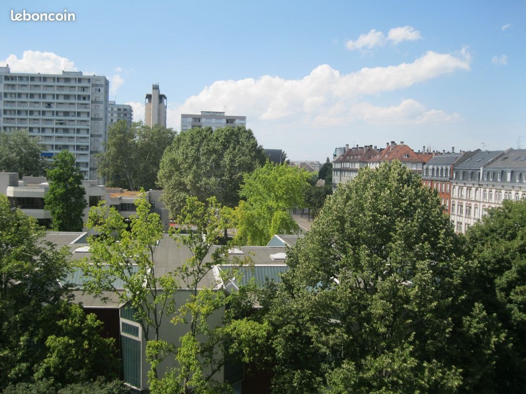 Appartement à vendre, 36m², Strasbourg