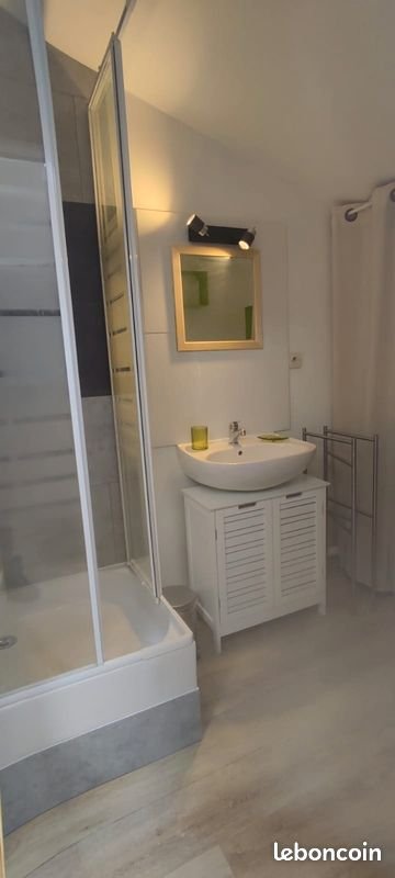 Appartement à louer, 19m², Roanne