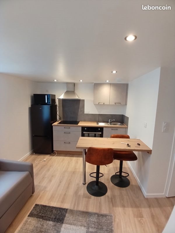 Appartement à louer, 18m², Le Puy-en-Velay