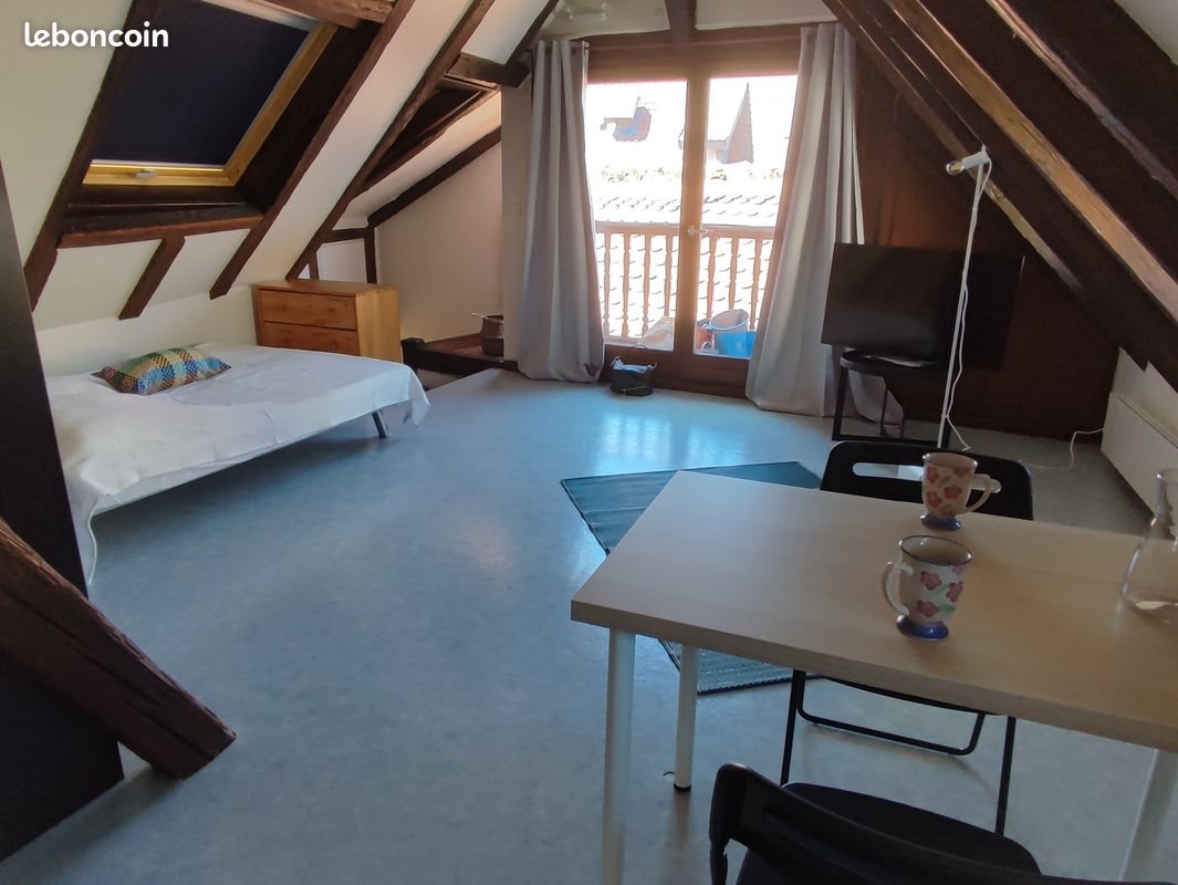 Appartement à louer, 18m², Strasbourg