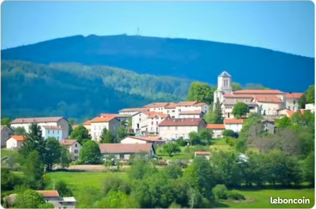 Maison à vendre, 350m², Le Brugeron
