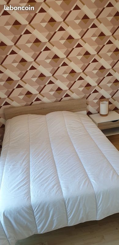 Appartement à louer, 25m², Angers