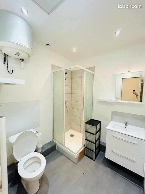Appartement à louer, 28m², Lyon 7ème