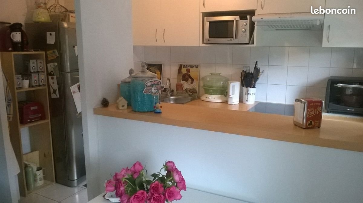 Appartement à louer, 45m², Aucamville