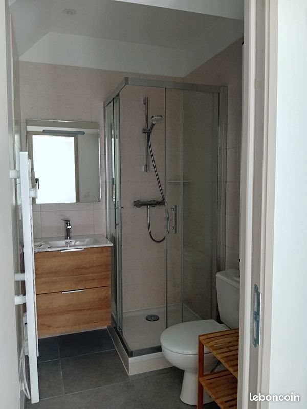 Appartement à louer, 40m², Saint-Etienne