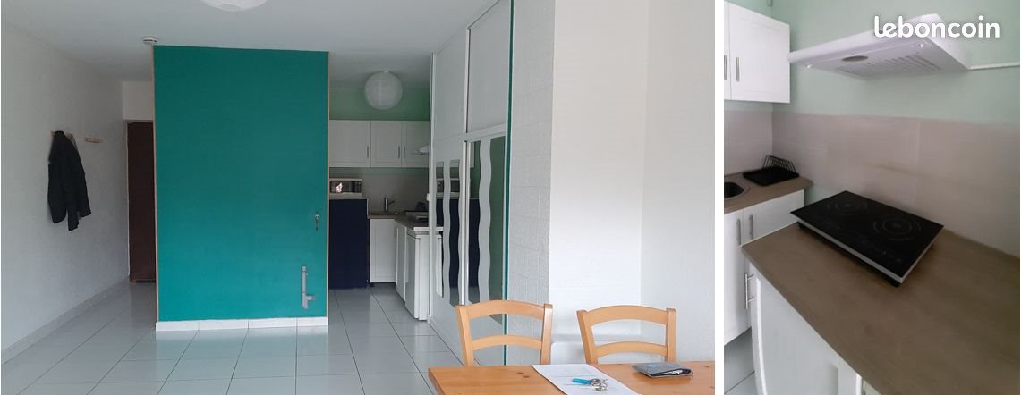 Appartement à louer, 31m², Oullins