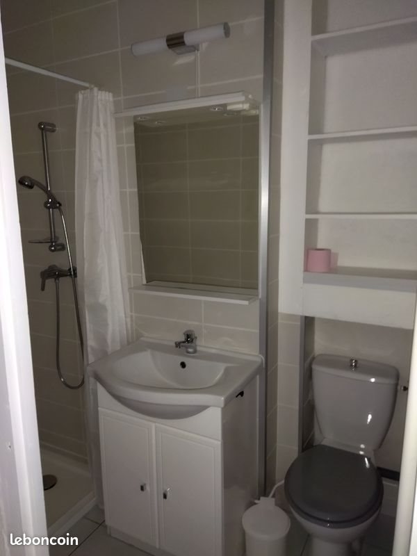 Appartement à louer, 31m², Oullins