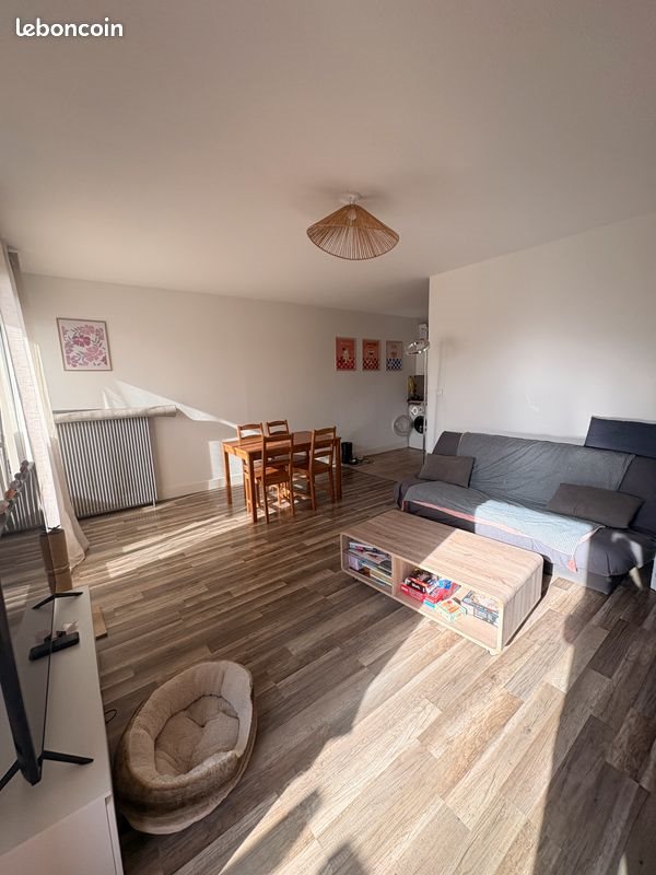 Appartement à louer, 50m², Blagnac