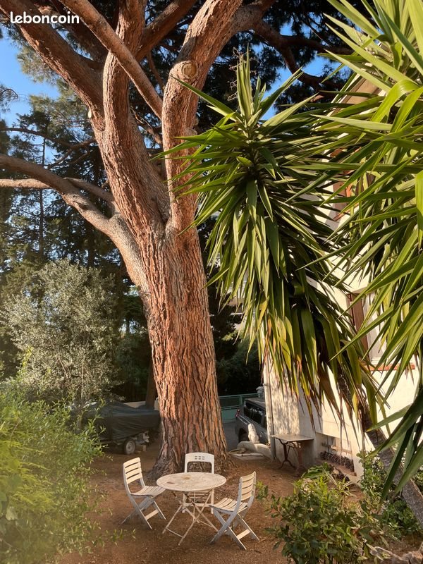 Appartement à vendre, 53m², Cavalaire-sur-Mer