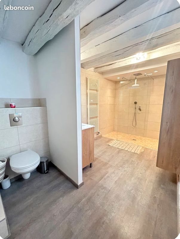 Appartement à louer, 60m², Gex