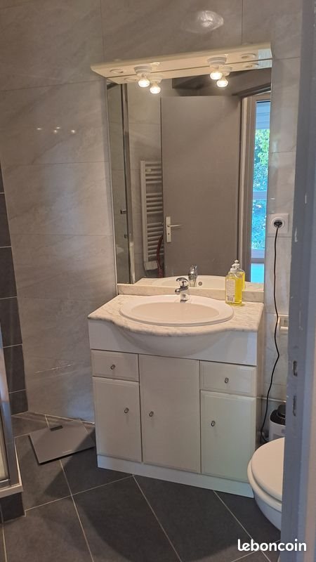Appartement à louer, 30m², Nancy