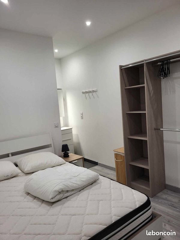 Appartement à louer, 40m², Saint-Etienne