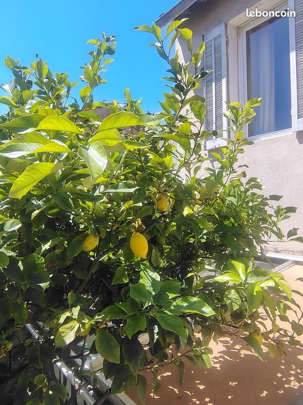 Maison à vendre, 100m², Marseille 7ème