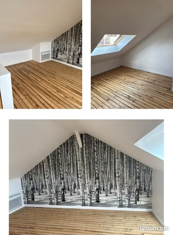 Appartement à louer, 56m², Reims