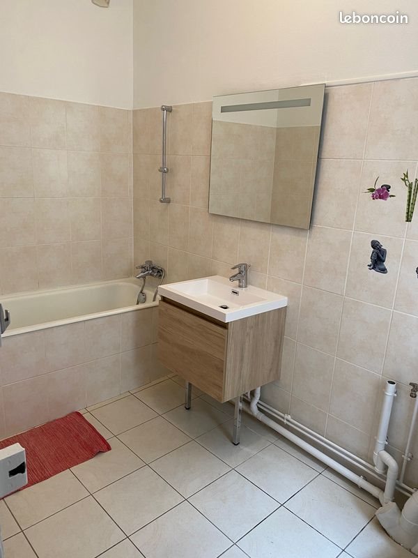 Appartement à louer, 69m², Nancy