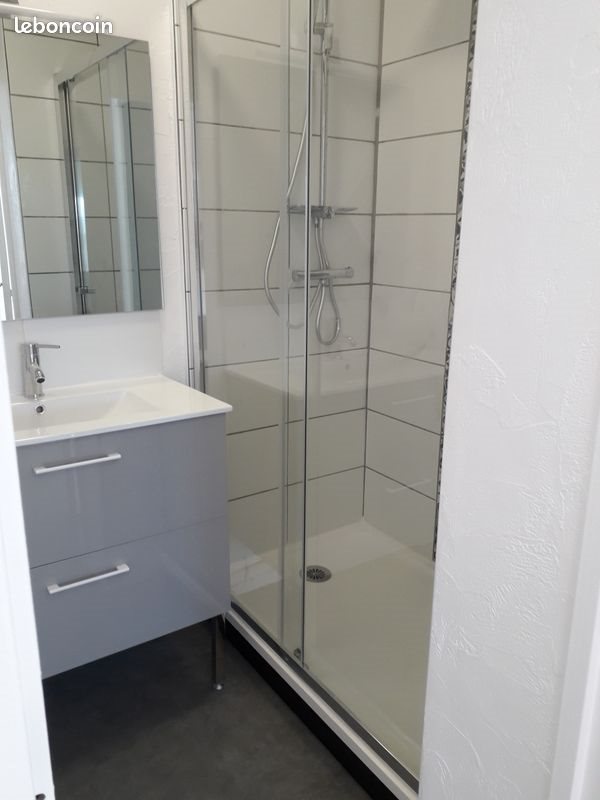Appartement à louer, 53m², Saint-Etienne