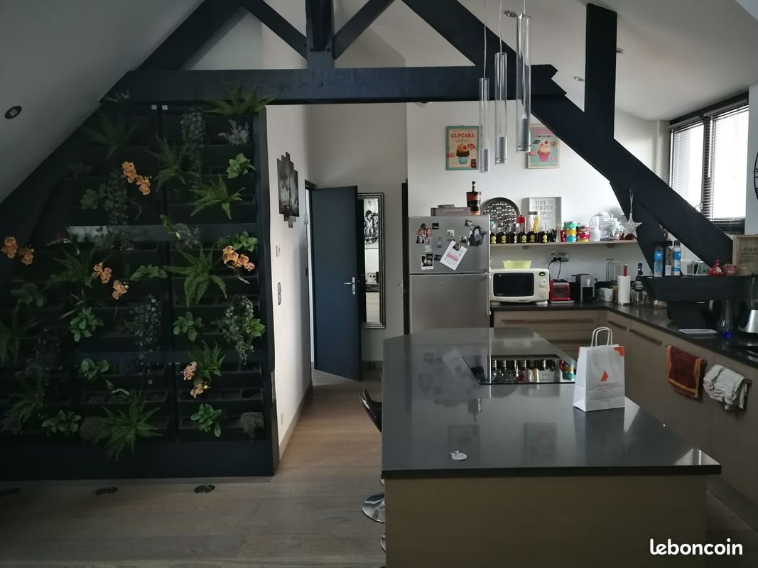 Appartement à louer, 50m², Angers